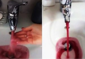 Milagro en Italia: por las cañerías salió vino en vez de agua y vecinos aprovecharon de embotellarlo