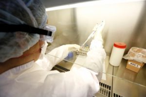 Empresa ofrece 4 millones de pesos para infectarse de coronavirus y poder crear una vacuna