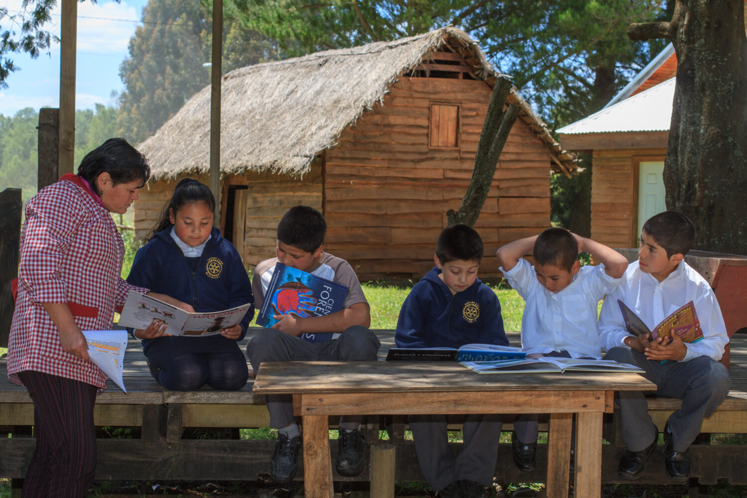 plataforma docentes