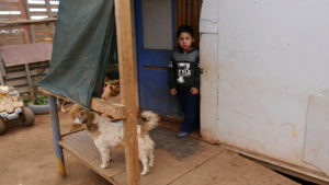 Pandemia planetaria y crisis de la vivienda