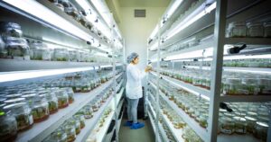 Más de 60 proyectos han postulado al desafío 