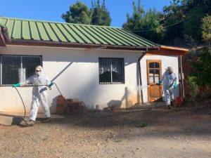 ARAUCO inicia proceso de sanitización masiva en más de 50 localidades del país