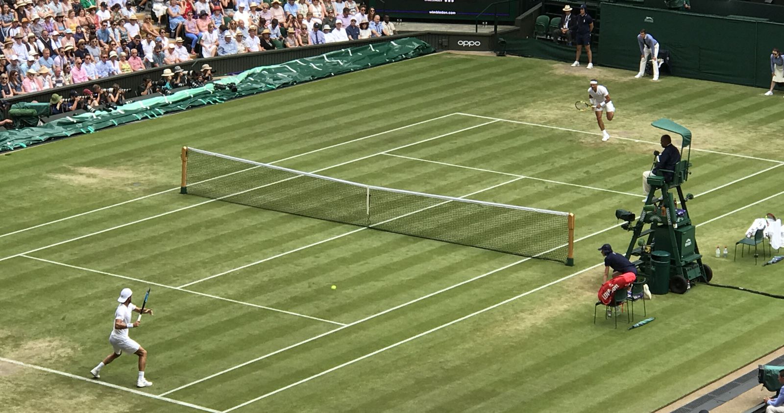 wimbledon coronavirus