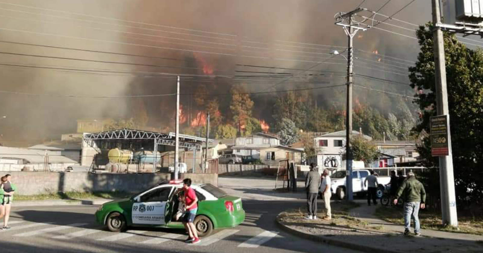 arauco incendio