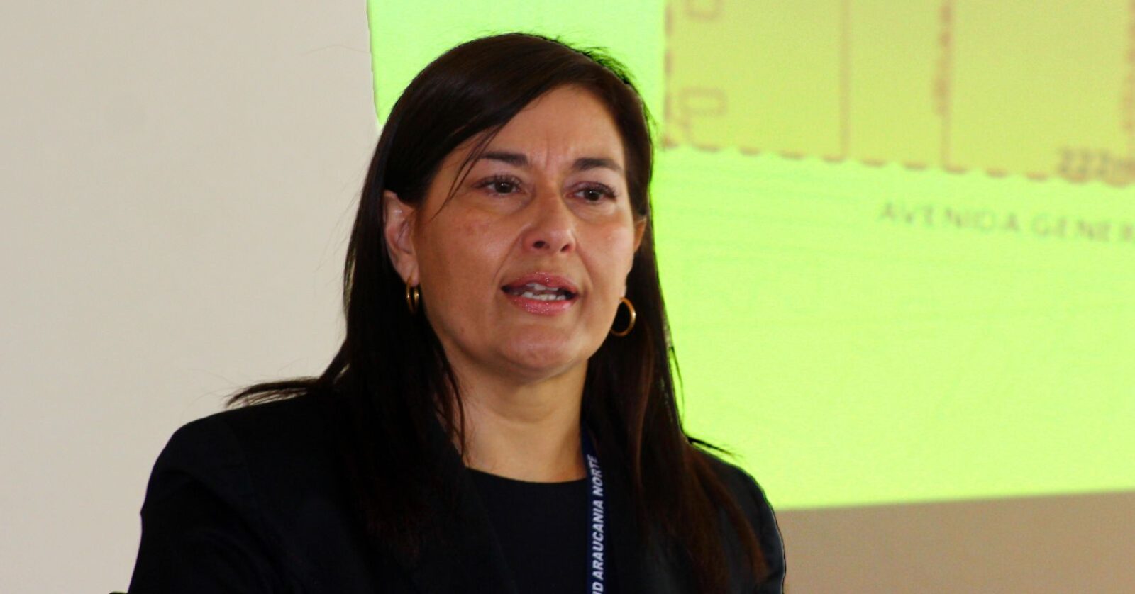 seremi la araucanía