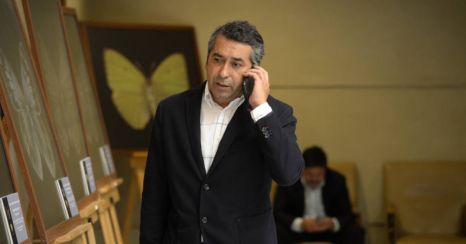 alexis sepúlveda asesores