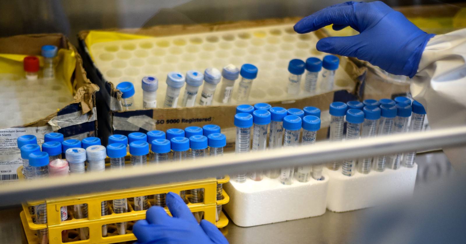 vacuna contra el coronavirus