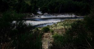 Birus, la empresa que pretende contagiar bondad ambiental