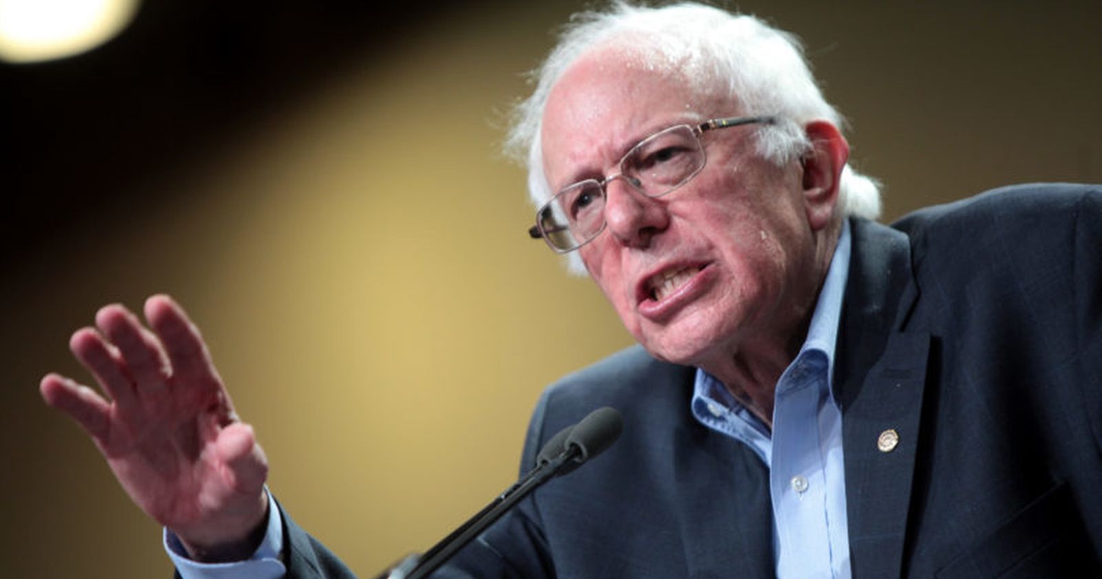 bernie sanders oposición