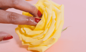 El clítoris, mi cómplice