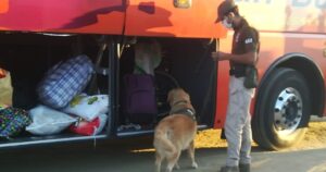 Sujeto usaba credencial de funcionario de la salud para transportar droga