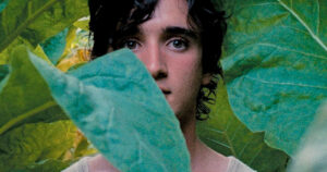 Happy as Lazzaro: la cinta europea que retrata la explotación y el nacimiento de una amistad