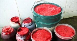 Sangre de vaca se transforma en alimento para los venezolanos en medio de la cuarentena