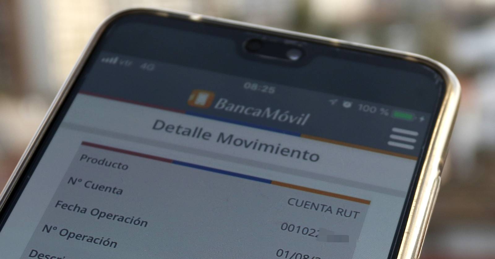 bancoestado caída mensaje