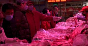 Xinfadi: el mercado más grande de Asia que pone en alerta al mundo