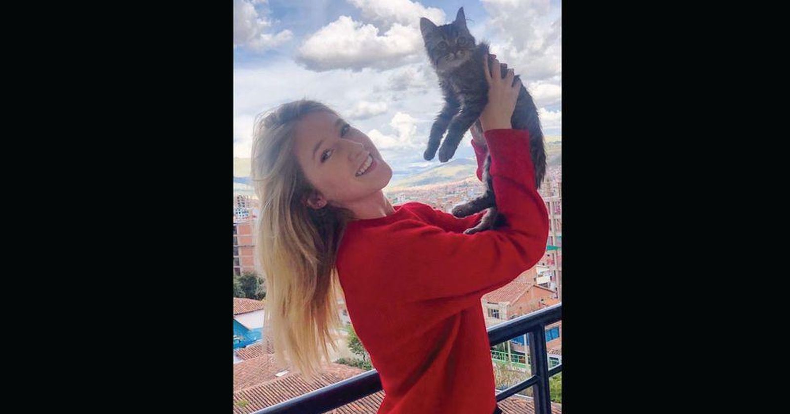 gato eutanasia