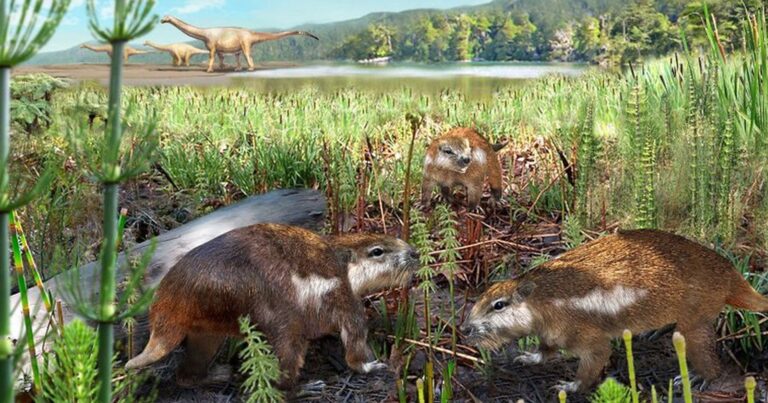 Descubren al primer mamífero chileno que convivió con los dinosaurios