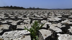 2022 y el factor ambiental