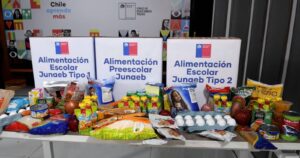 Larvas y leches descompuestas: Junaeb confirmó entrega de alimentos en mal estado en Los Ríos y Los Lagos