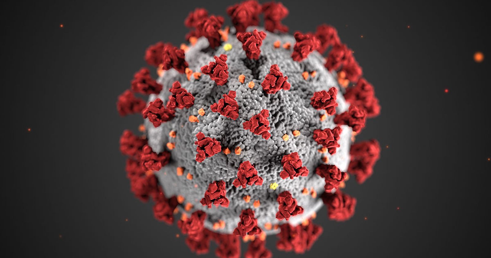 cepa coronavirus