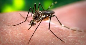 China sigue en alerta: ahora por un caso de dengue