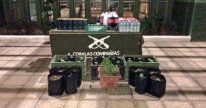 Fiesta clandestina dejó más de 30 detenidos en La Serena