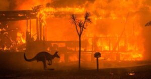 Incendios forestales de Australia mataron a tres mil millones de animales