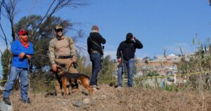 Encuentran 86 bolsas con restos humanos en México