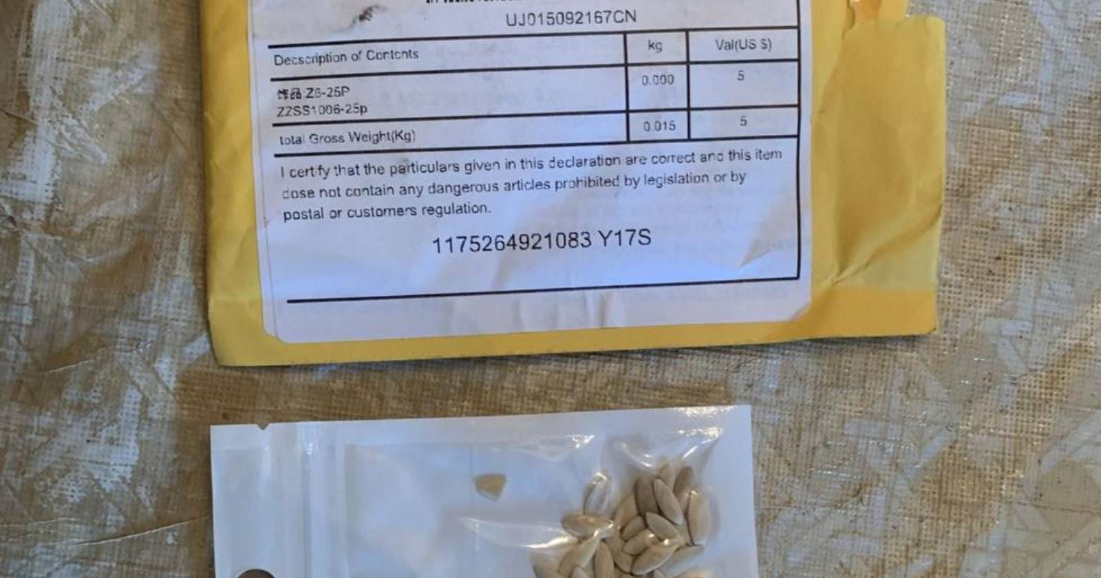 semillas Estados Unidos