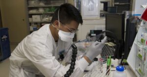 Nueva teoría sugiere que el COVID-19 se originó en una mina de China en 2012