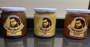 Leigh Brecheen, abogada de Mel Gibson, por miel chilena: 