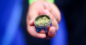 Paraguay anuncia la opción de producir marihuana de exportación