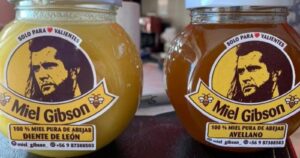 Miel Gibson enfrenta críticas tras tuit sobre destrozos en Barrio Lastarria