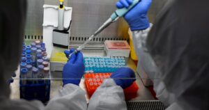 Las bacterias podrían ser claves en el hallazgo de una cura para el COVID-19