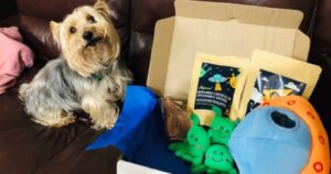 Caja Guau: el kit mensual con snacks saludables y juguetes para mascotas