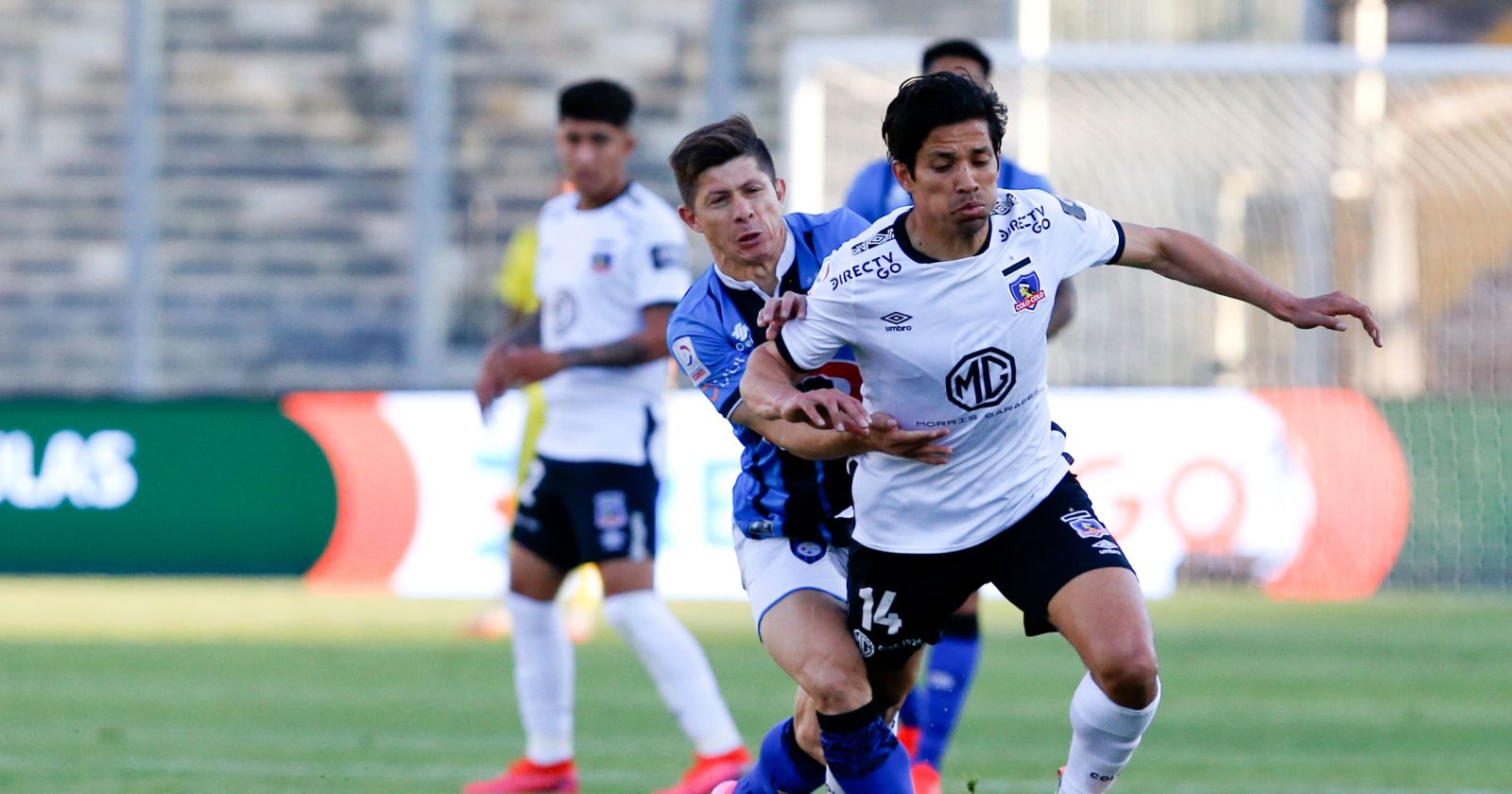 bajas colo colo