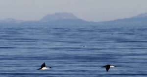 A 500 años del descubrimiento del Estrecho de Magallanes, el hito que marcó el inicio de la globalización