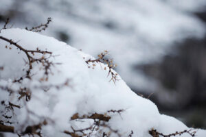Chile, nuestra casa común