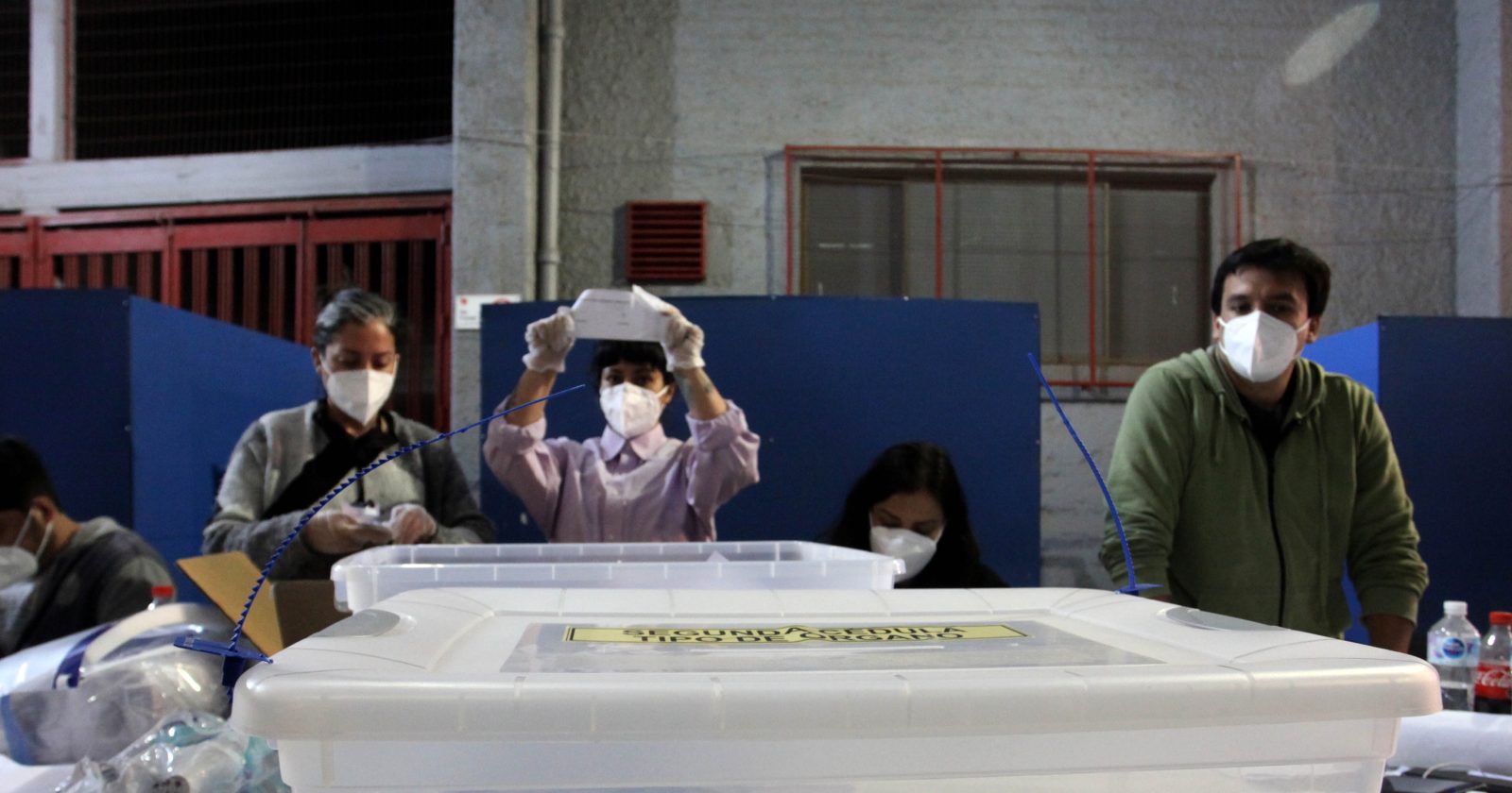 elecciones primarias domingo 29 noviembre