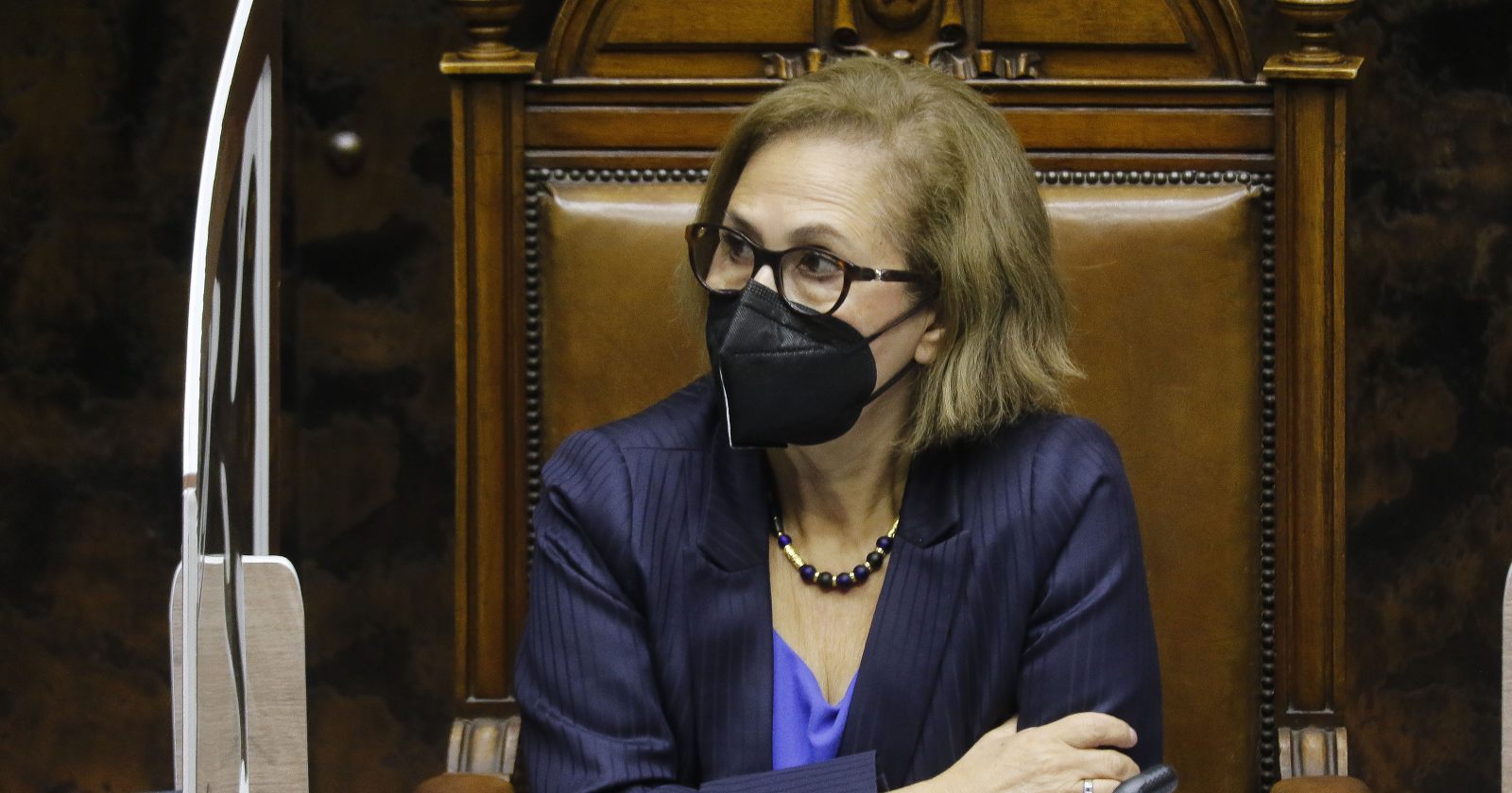 Adriana Muñoz retiro Gobierno