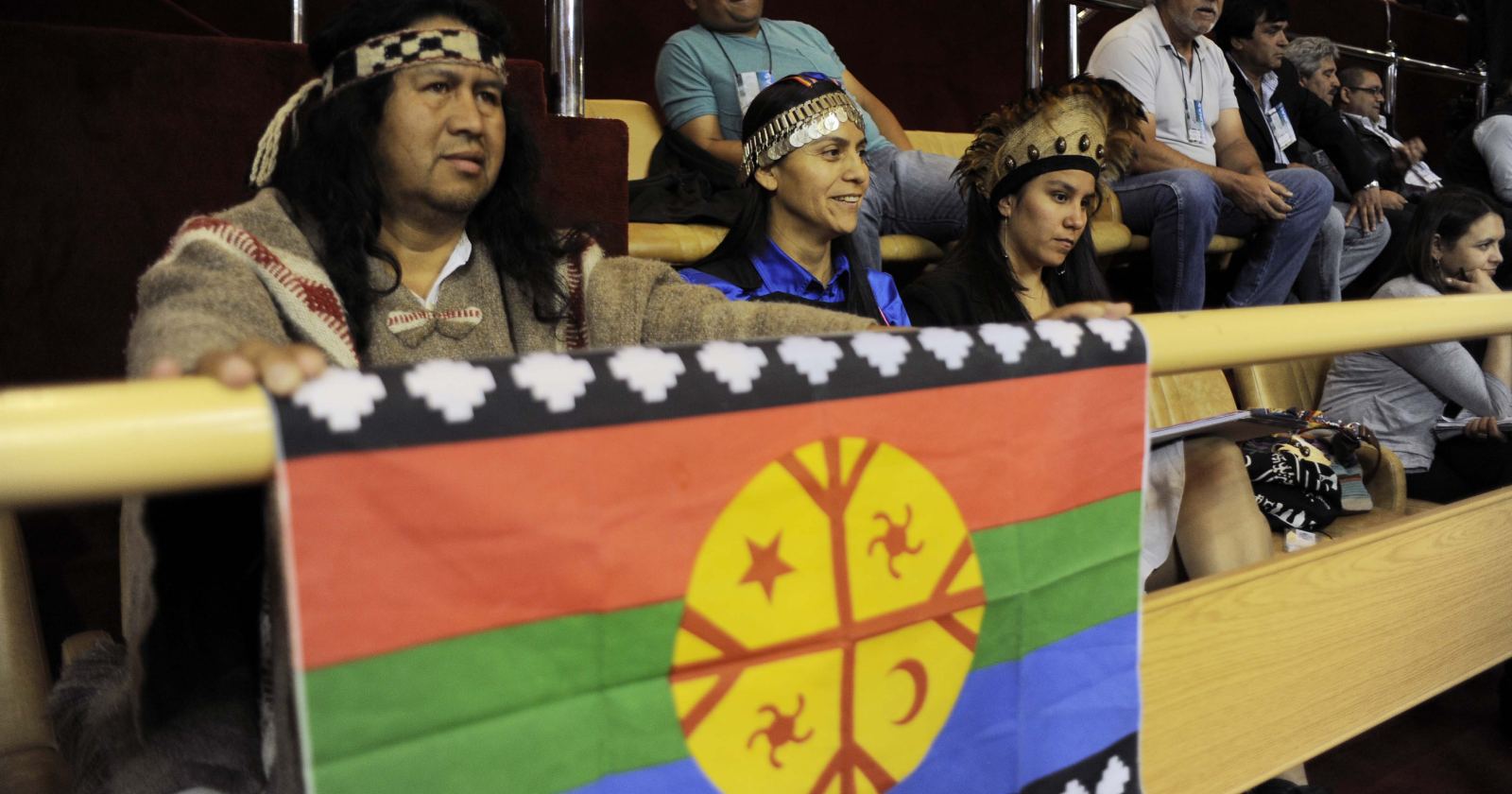 comunidades mapuches escaños