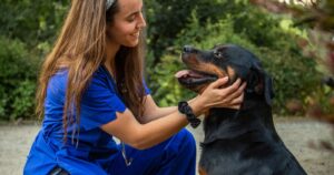 Lottawork: el marketplace para ofrecer y contratar servicios