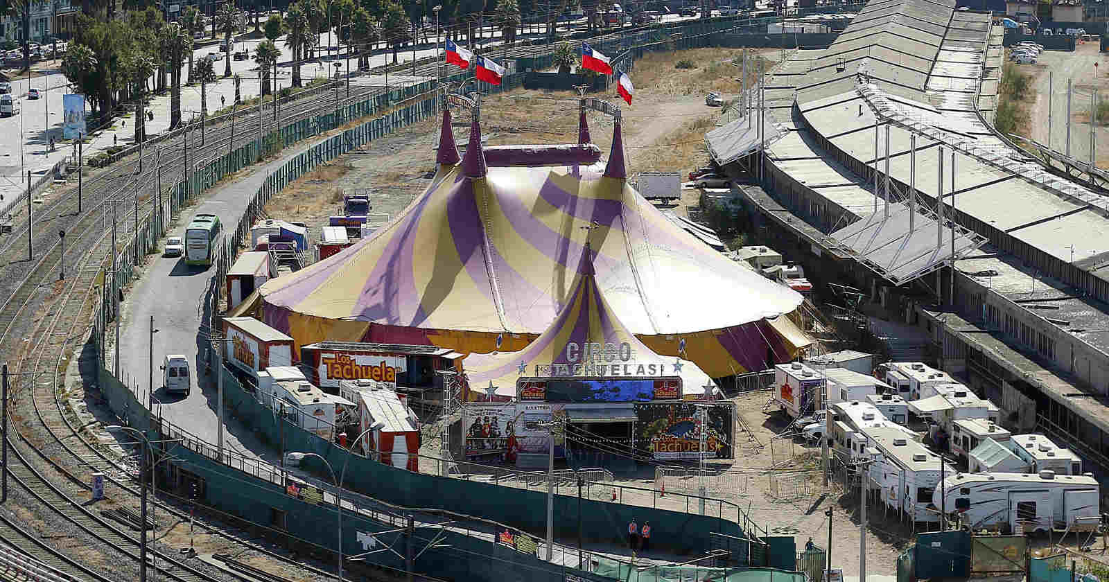 protocolo circos