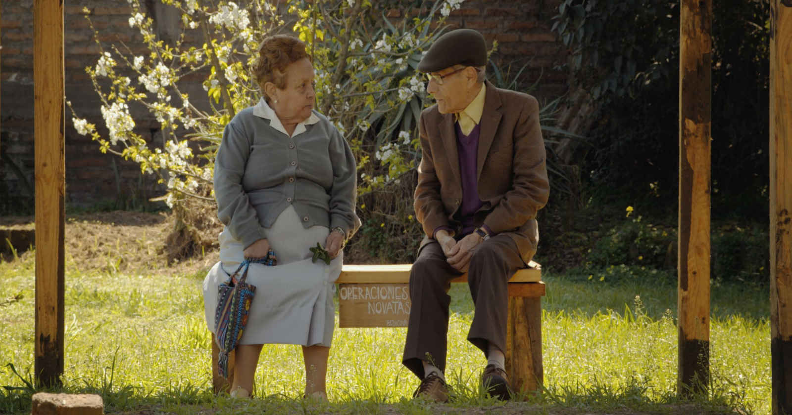 el agente topo oscar 2021