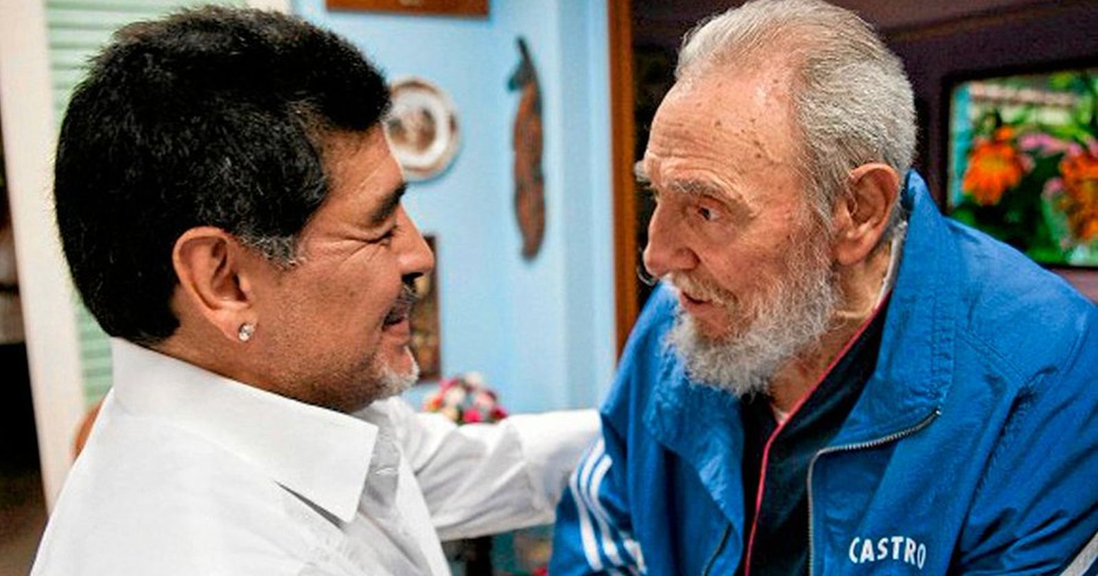 Maradona política