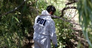 Investigan hallazgo de cuerpo mutilado frente a aeródromo de Pucón