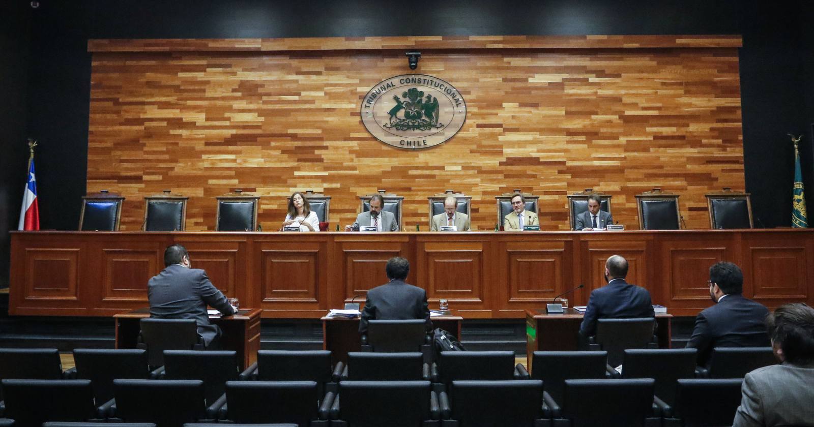 Tribunal Constitucional retiro oposición