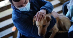 Sernac anuncia compensación de hasta $1.750.000 por perros enfermos con alimentos en mal estado