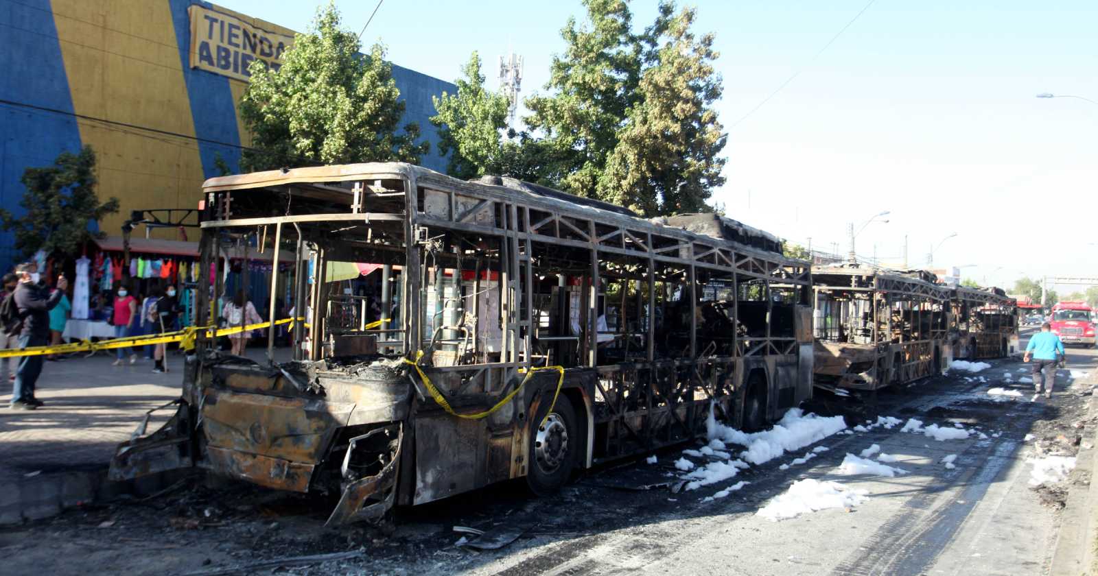 buses Red