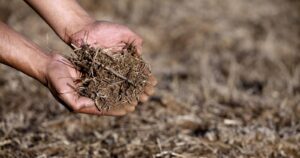 Lo esencial es visible a los ojos